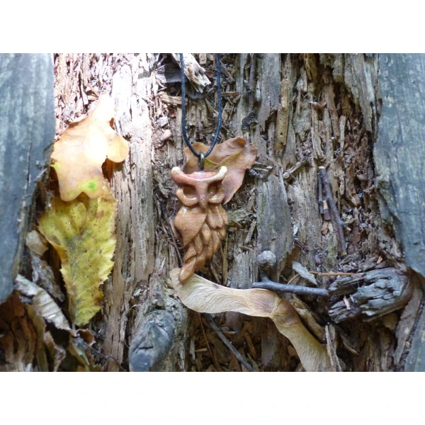 Mądrość Lasu / Wisdom of the Forest